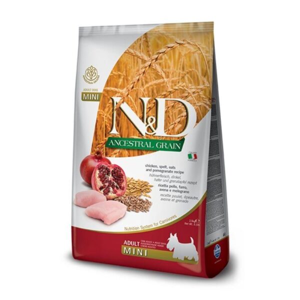 ND דלעת עוף רימון כלב מיני 2.5 ק"ג
