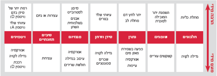 חשיבות התזונה המאוזנת 